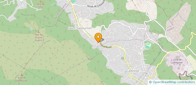 localisation de l'entreprise MADAME MARIE DELHOMMEAU  SAINT-SAVOURNIN