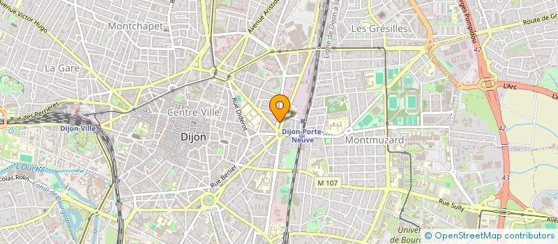 localisation de l'entreprise MADAME MARIE DELVAL à DIJON