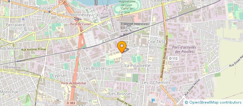 localisation de l'entreprise MADAME MARIE DEPALLE  LYON