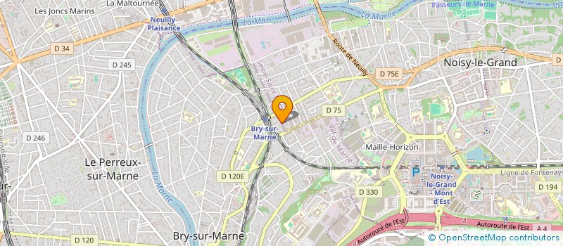 localisation de l'entreprise MADAME MARIE DEPELSEMACKER  NOISY-LE-GRAND