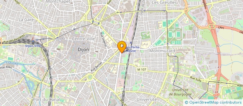 localisation de l'entreprise MADAME MARIE DEVIN  DIJON