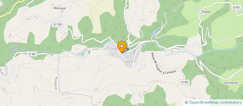 localisation de l'entreprise MADAME MARIE DOMINIQUE ROQUES  COUPIAC
