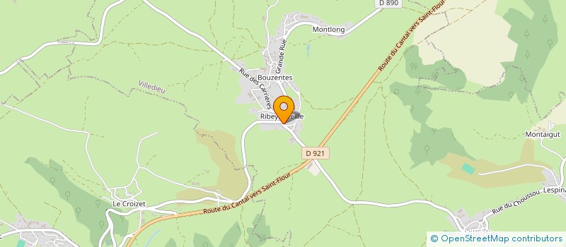 localisation de l'entreprise MADAME MARIE DORLEANS à NEUVEGLISE-SUR-TRUYERE