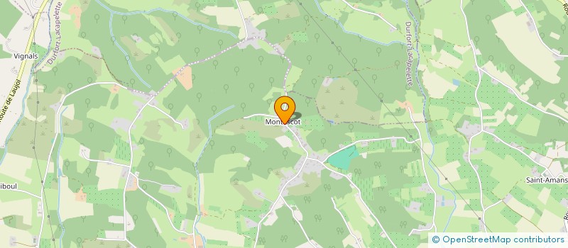 localisation de l'entreprise MADAME MARIE DOURLENT  MOISSAC