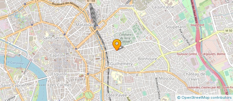 localisation de l'entreprise MADAME MARIE DUCEPT  TOULOUSE