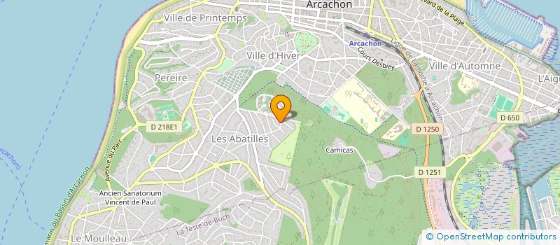 localisation de l'entreprise MADAME MARIE DUFFORT  ARCACHON