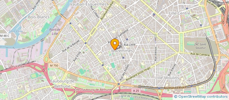 localisation de l'entreprise MADAME MARIE DUFOUR  LILLE