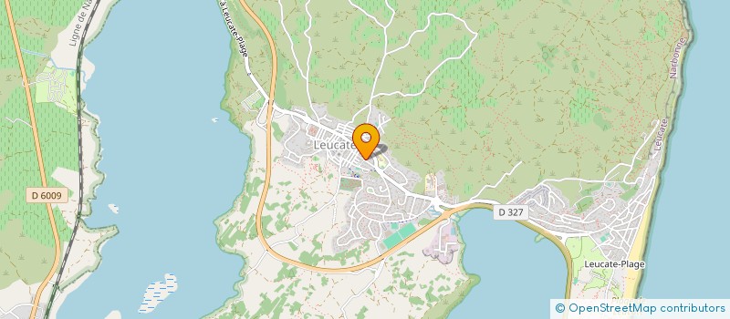 localisation de l'entreprise MADAME MARIE DUWICQUET  LEUCATE