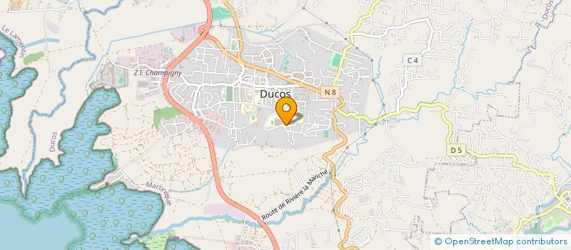 localisation de l'entreprise MADAME MARIE ELINA JEAN  DUCOS