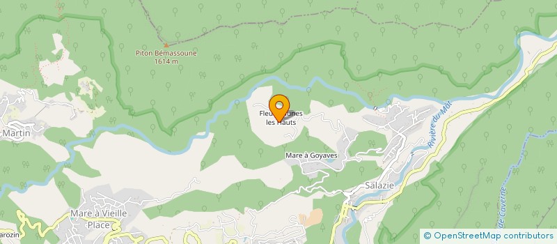 localisation de l'entreprise MADAME MARIE ELISABETH  SALAZIE