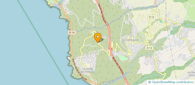 localisation de l'entreprise MADAME MARIE ELODIE HOARAU  SAINT-LEU