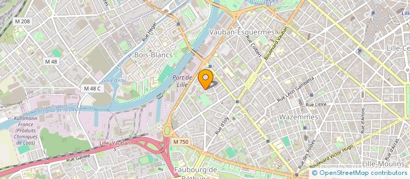 localisation de l'entreprise MADAME MARIE-EMMANUELLE CHAMBON à LILLE