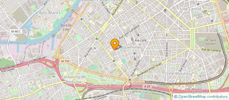 localisation de l'entreprise MADAME MARIE-EVE GODEFFROY à LILLE