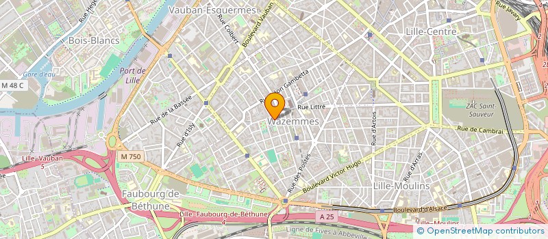 localisation de l'entreprise MADAME MARIE FABISZAK  LILLE