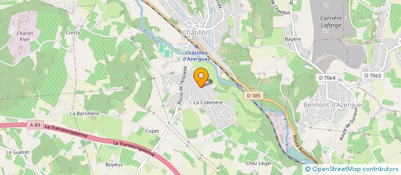 localisation de l'entreprise MADAME MARIE FAUVET  CHATILLON