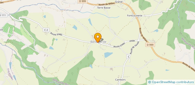 localisation de l'entreprise MADAME MARIE FERRO MILON  BELLEGARDE-MARSAL