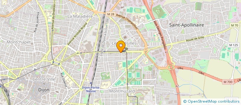localisation de l'entreprise MADAME MARIE FORT  DIJON