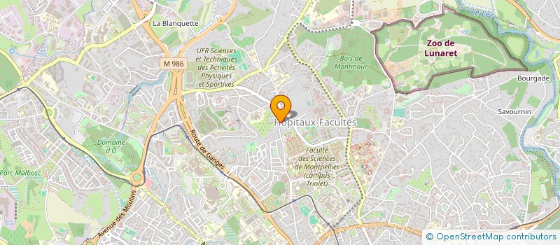 localisation de l'entreprise MADAME MARIE FOURNEL à MONTPELLIER