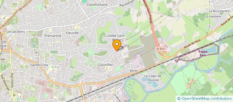 localisation de l'entreprise MADAME MARIE-FRANCE BLOT à LE MANS