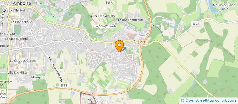 localisation de l'entreprise MADAME MARIE-FRANCE MICHAUD  AMBOISE