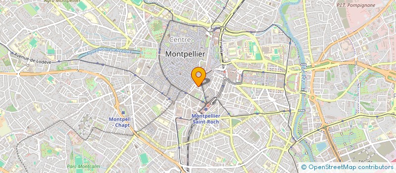 localisation de l'entreprise MADAME MARIE-FRANCE NOEL à MONTPELLIER
