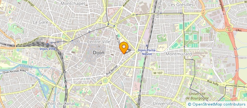 localisation de l'entreprise MADAME MARIE FRANCE PIPONNIAU à DIJON