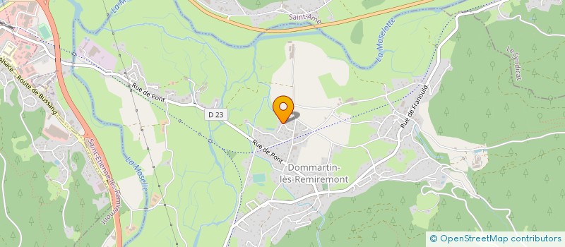 localisation de l'entreprise MADAME MARIE FRANCE VUILLEMENOT  DOMMARTIN-LES-REMIREMONT