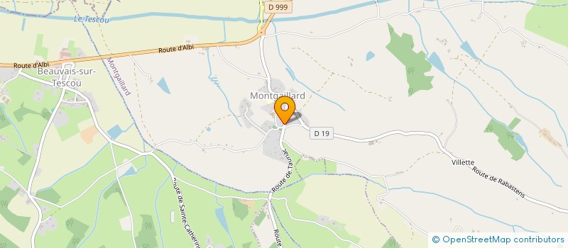 localisation de l'entreprise MADAME MARIE FRANCOISE LARROQUE  MONTGAILLARD