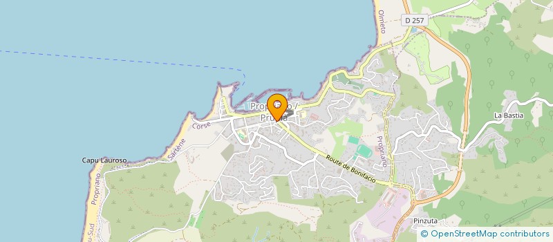 localisation de l'entreprise MADAME MARIE FRANCOISE MOZZICONACCI  VIGGIANELLO