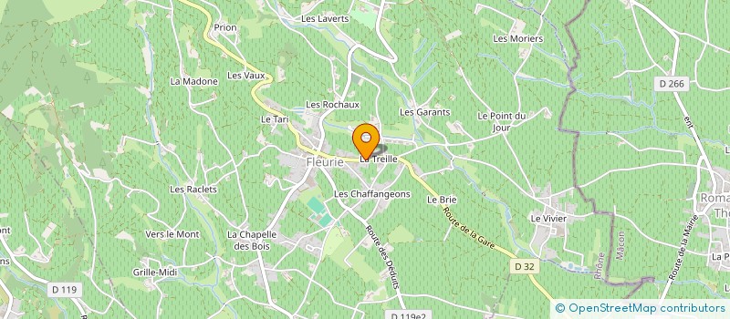 localisation de l'entreprise MADAME MARIE GERARD à FLEURIE