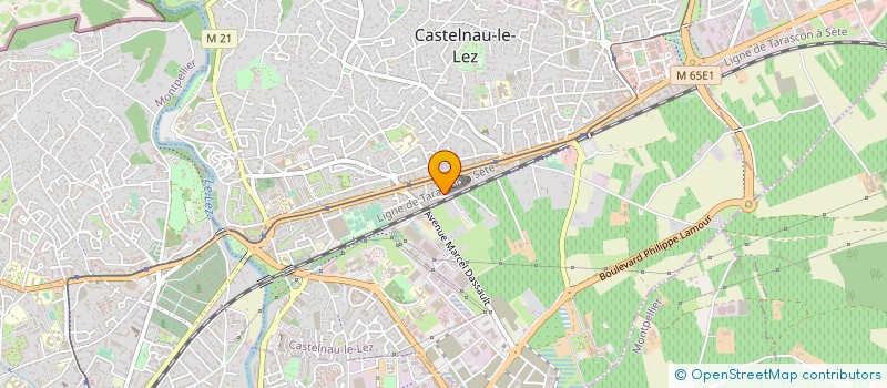 localisation de l'entreprise MADAME MARIE GERHARDT à CASTELNAU-LE-LEZ