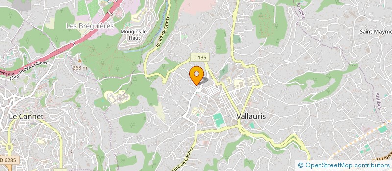 localisation de l'entreprise MADAME MARIE GERMAN  VALLAURIS