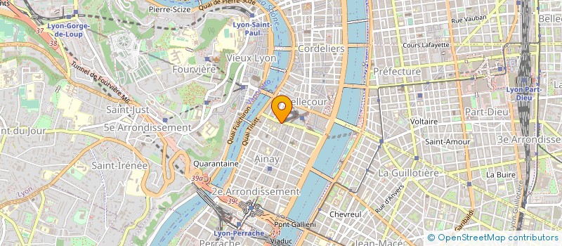 localisation de l'entreprise MADAME MARIE-GHISLAINE RANDU  LYON