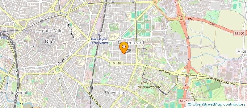 localisation de l'entreprise MADAME MARIE GONACHON  DIJON