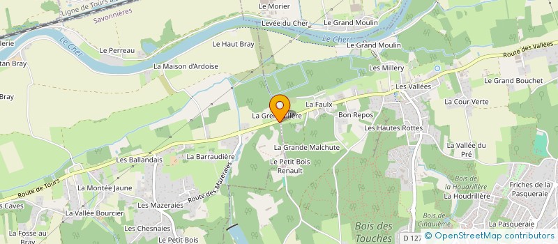 localisation de l'entreprise MADAME MARIE GRANDGUILLAUME  TOURS