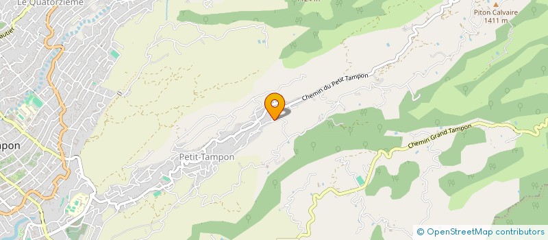 localisation de l'entreprise MADAME MARIE GRONDIN  LE TAMPON