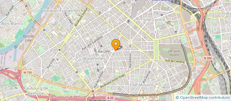 localisation de l'entreprise MADAME MARIE GROTARD à LILLE