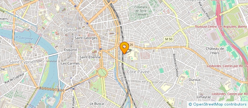 localisation de l'entreprise MADAME MARIE-HELENE AGNES DUPONNOIS  TOULOUSE