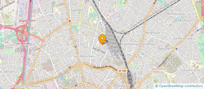 localisation de l'entreprise MADAME MARIE HELENE CARCANAGUE à TOULOUSE