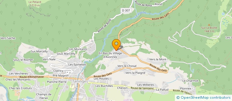 localisation de l'entreprise MADAME MARIE-HELENE MAJ  TANINGES