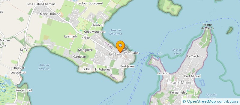 localisation de l'entreprise MADAME MARIE IRSAPOULLE  BADEN