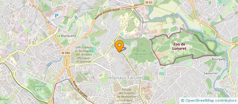 localisation de l'entreprise MADAME MARIE-JEANNE RIVIERE à MONTPELLIER