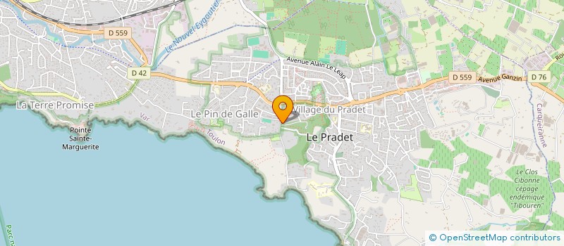 localisation de l'entreprise MADAME MARIE JEANNE TORRE  LE PRADET