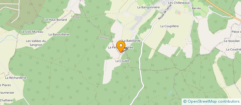 localisation de l'entreprise MADAME MARIE-JOSE BOUREAU  THIZAY