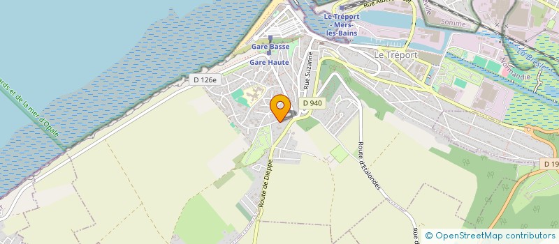 localisation de l'entreprise MADAME MARIE JOSE BRISVILLE  LE TREPORT