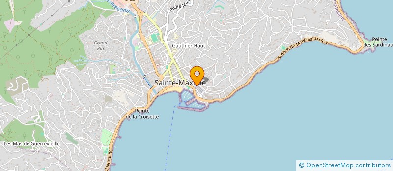 localisation de l'entreprise MADAME MARIE JOSE DE FONTAINE DE RESBESCQ à SAINTE-MAXIME