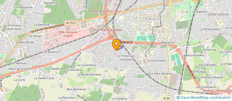 localisation de l'entreprise MADAME MARIE-JOSE DELETRE  JOUE-LES-TOURS