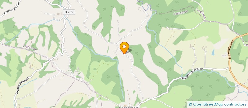 localisation de l'entreprise MADAME MARIE-JOSE GRAU  CASTETBON