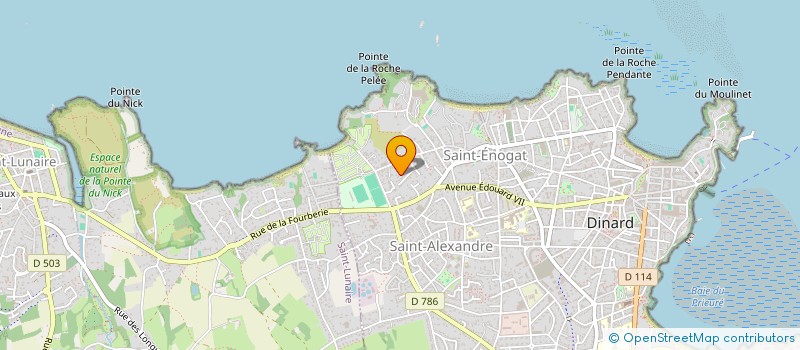 localisation de l'entreprise MADAME MARIE-JOSE PEPIN  DINARD