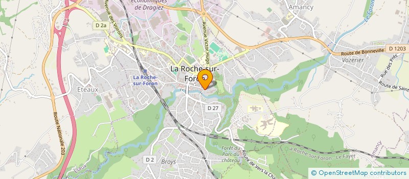 localisation de l'entreprise MADAME MARIE JOSE VERTHIER  LA ROCHE-SUR-FORON